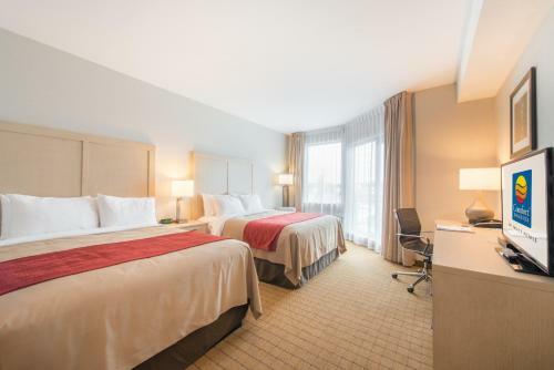 Hotel Comfort Inn & Suites