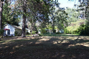 Bed & Breakfast Backyard Garden Oasis