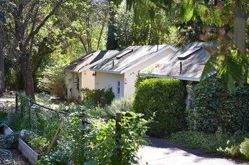 Bed & Breakfast Backyard Garden Oasis