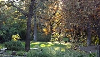 Bed & Breakfast Backyard Garden Oasis