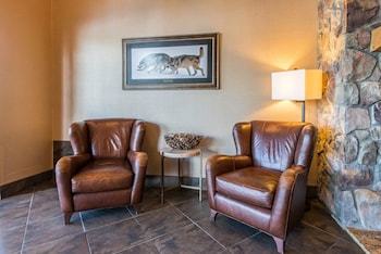 Hotel Comfort Suites Golden West On Evergreen Parkway