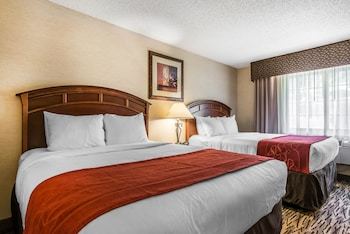 Hotel Comfort Suites Golden West On Evergreen Parkway