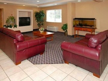 Hotel Comfort Inn Ft Myers