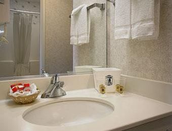 Hotel Super 8 Rochester In