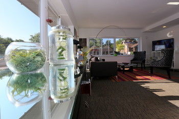 Motel Hotel Royal Oak