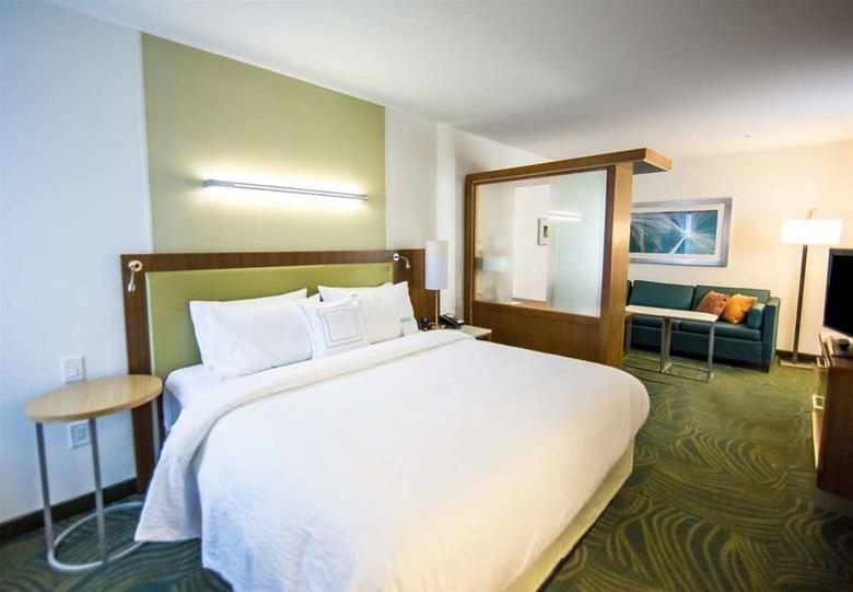 Hotel Springhill Suites Lumberton