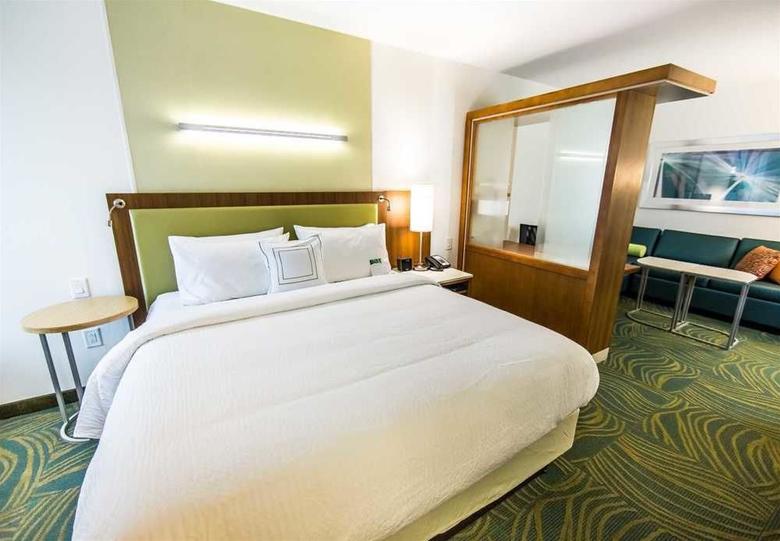 Hotel Springhill Suites Lumberton