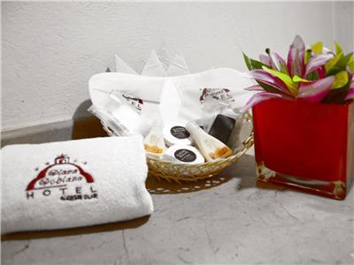 Hotel Plaza Poblana