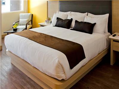 Hotel Plaza Poblana
