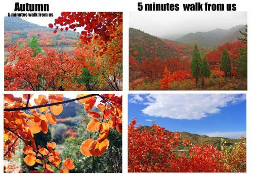 Agroturismo Beijing Badaling Great Wall Cao?s Courtyard Hostel