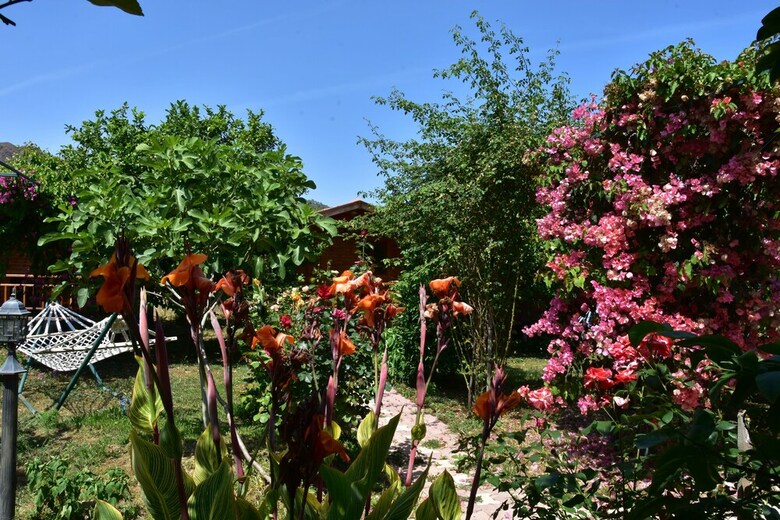 Lemon Garden Lodge