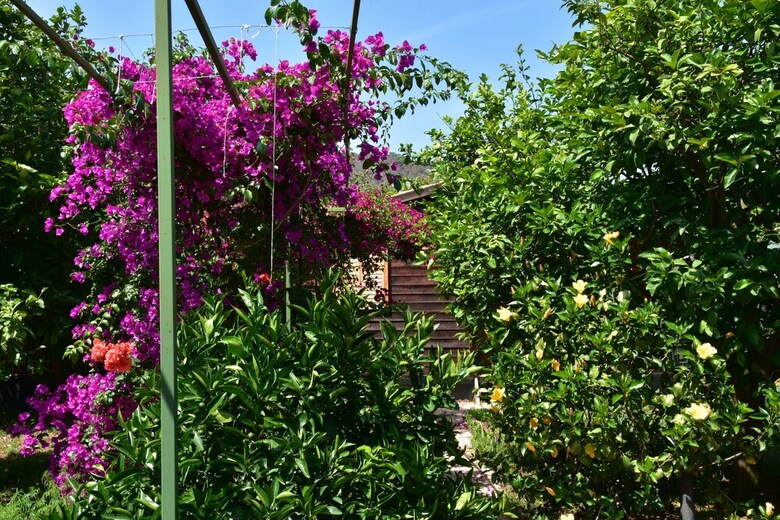 Lemon Garden Lodge