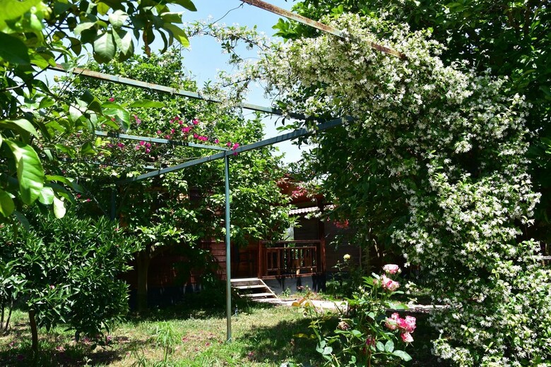 Lemon Garden Lodge