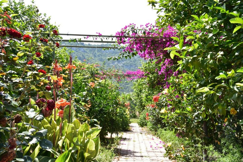 Lemon Garden Lodge