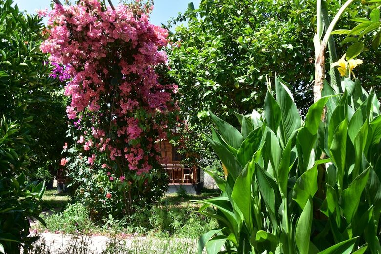 Lemon Garden Lodge
