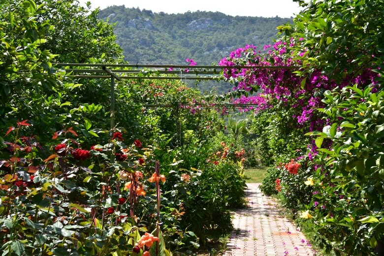 Lemon Garden Lodge