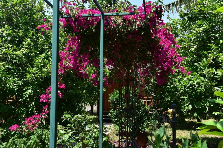 Lemon Garden Lodge