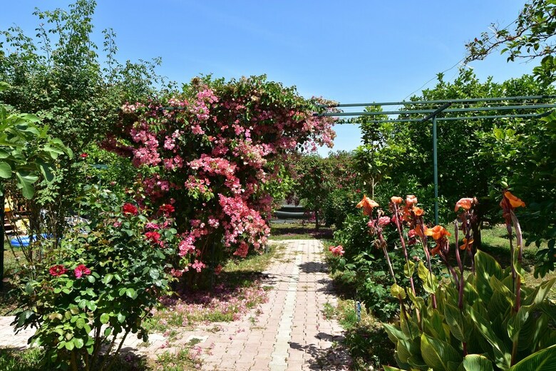 Lemon Garden Lodge