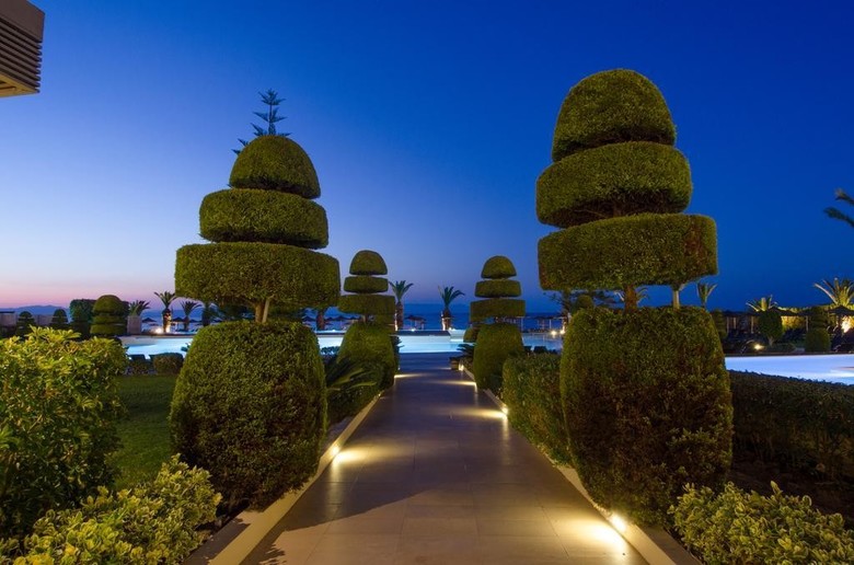 Hotel The Ixian Grand