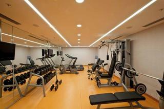 Hotel Holiday Inn Gebze - Istanbul Asia