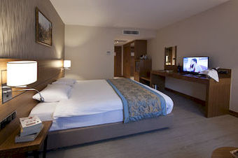 Hotel Mirel Otel