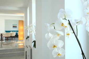 Saraya Bodrum Hotel