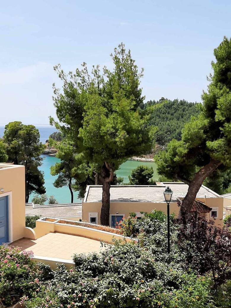 Alonissos Beach Bungalows & Suites Hotel