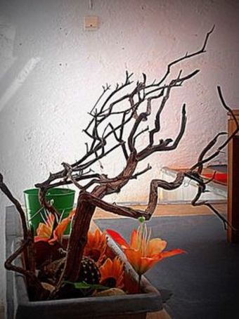 Aparthotel Apokoros Club Apt & Std Craft Deco & Activities