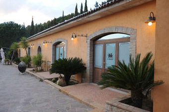 Agroturismo Agriturismo Il Drago