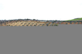 Agroturismo Agriturismo Il Drago