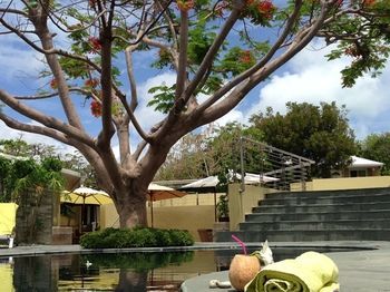Villa Kokomo Botanical Resort