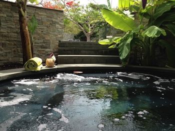 Villa Kokomo Botanical Resort