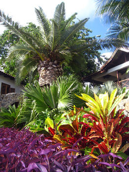 Hotel Baoase Luxury Resort