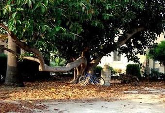Agroturismo Il Giardino Del Sole