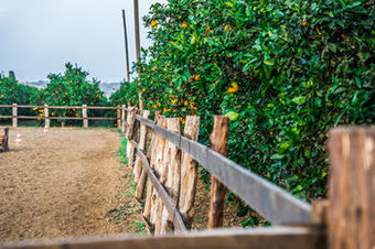 Agroturismo Il Giardino Del Sole
