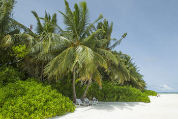 Apartamento Fihalhohi Island Resort