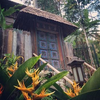 Villa Fig Tree Hill Resort