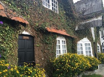 Hostal Planters Country Hotel