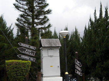 Hotel Kinabalu Pine Resorts