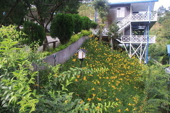 Hotel Kinabalu Pine Resorts
