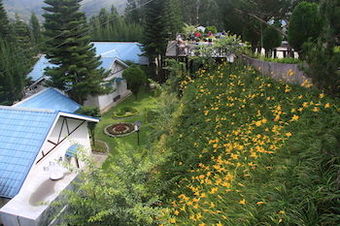 Hotel Kinabalu Pine Resorts