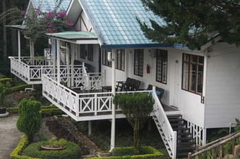 Hotel Kinabalu Pine Resorts