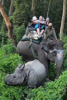 Apartamento Rhino Lodge & Hotel