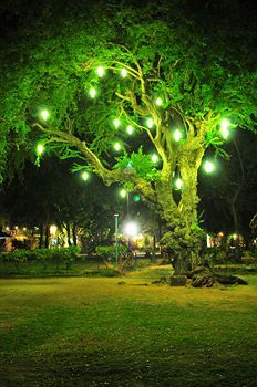 Matabungkay Beach Hotel