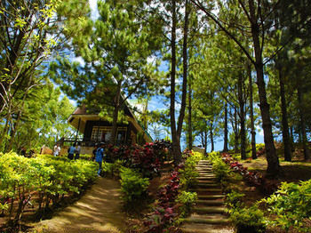 Sunny Point Hotel & Apartelle