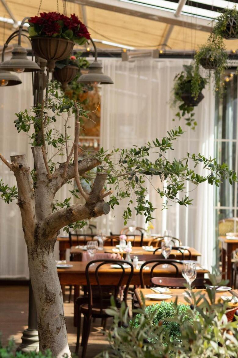 Hotel Mornington