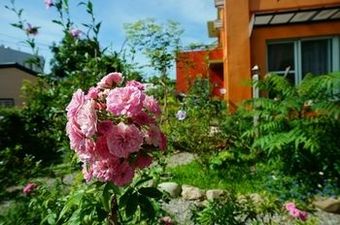 Hotel Longtian Hill B&B