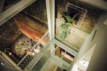 365 Hostel