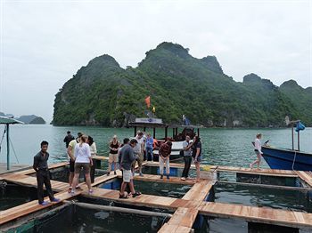 Gray Line Halong Cruise
