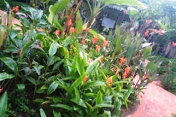 Hotel Viet Thanh Resort